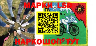 индика Заволжье