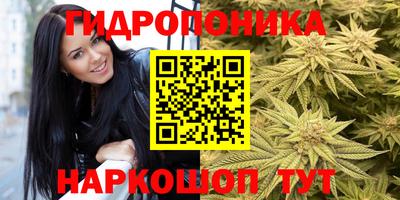 индика Заволжье