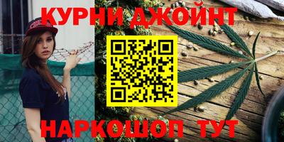 индика Заволжье