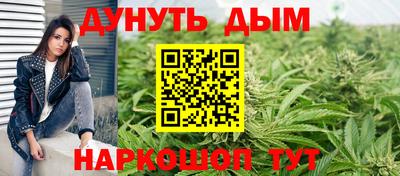 индика Заволжье