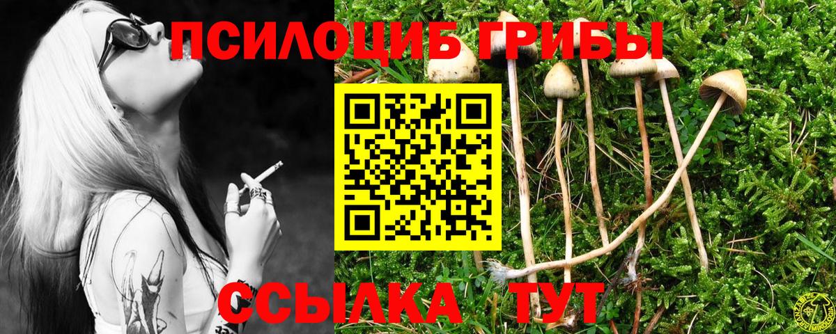 Галлюциногенные грибы MAGIC MUSHROOMS Магадан