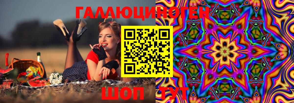 где найти наркотики  Галлюциногенные грибы GOLDEN TEACHER  Вход с VPN  Магадан 